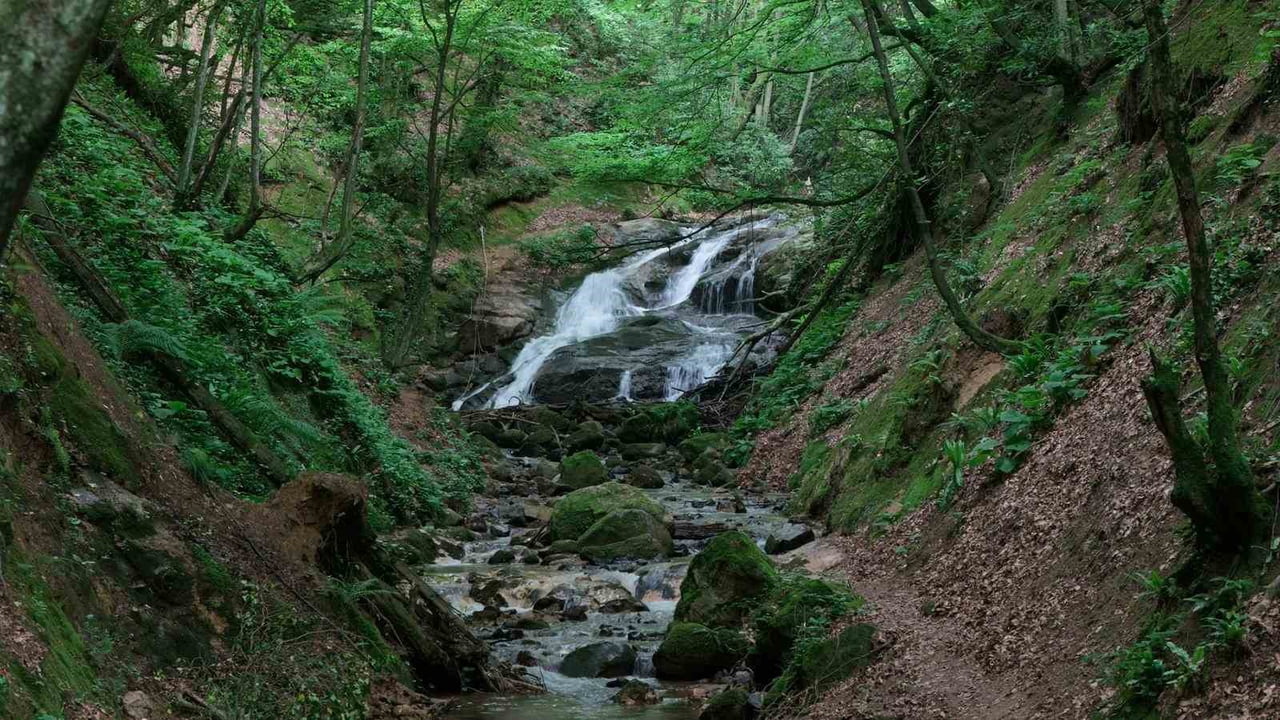 NÜZHETİYE ŞELALESİ, HAZİRAN AYIYLA BİRLİKTE BÜRÜNDÜĞÜ YEŞİLİN HER TONUYLA ZİYARETÇİLERİNE EŞSİZ...