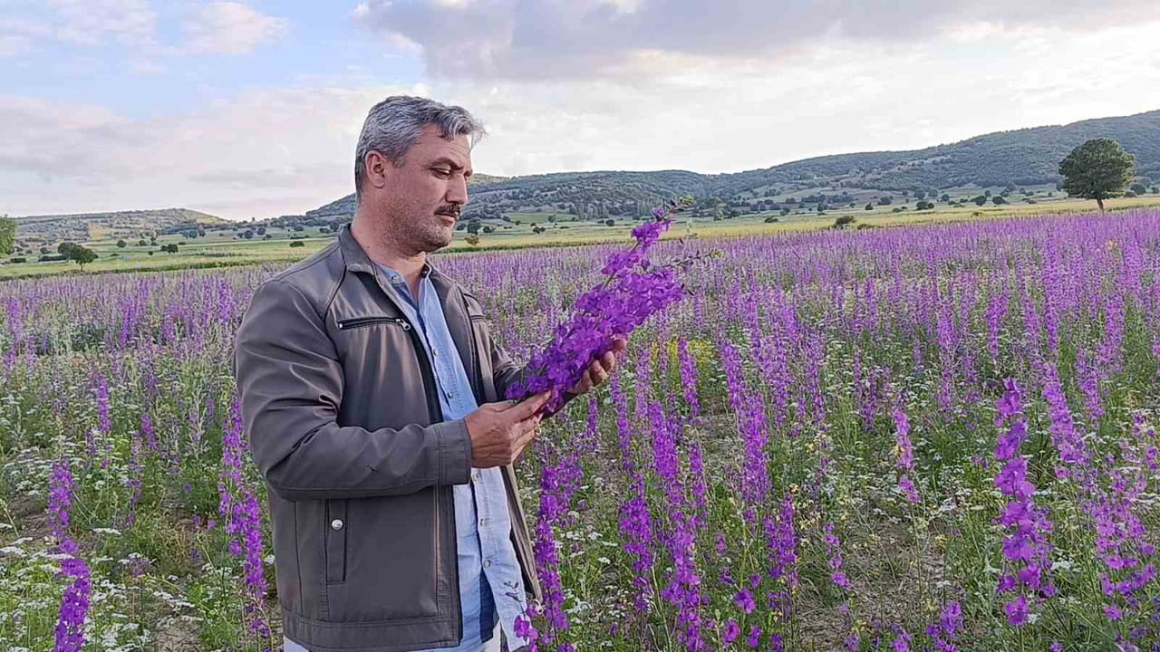 OLUŞAN EŞSİZ MANZARAYI UZAKTAN FARK EDİP O BÖLGEYE GELEN SÜLEYMAN BAŞKAN