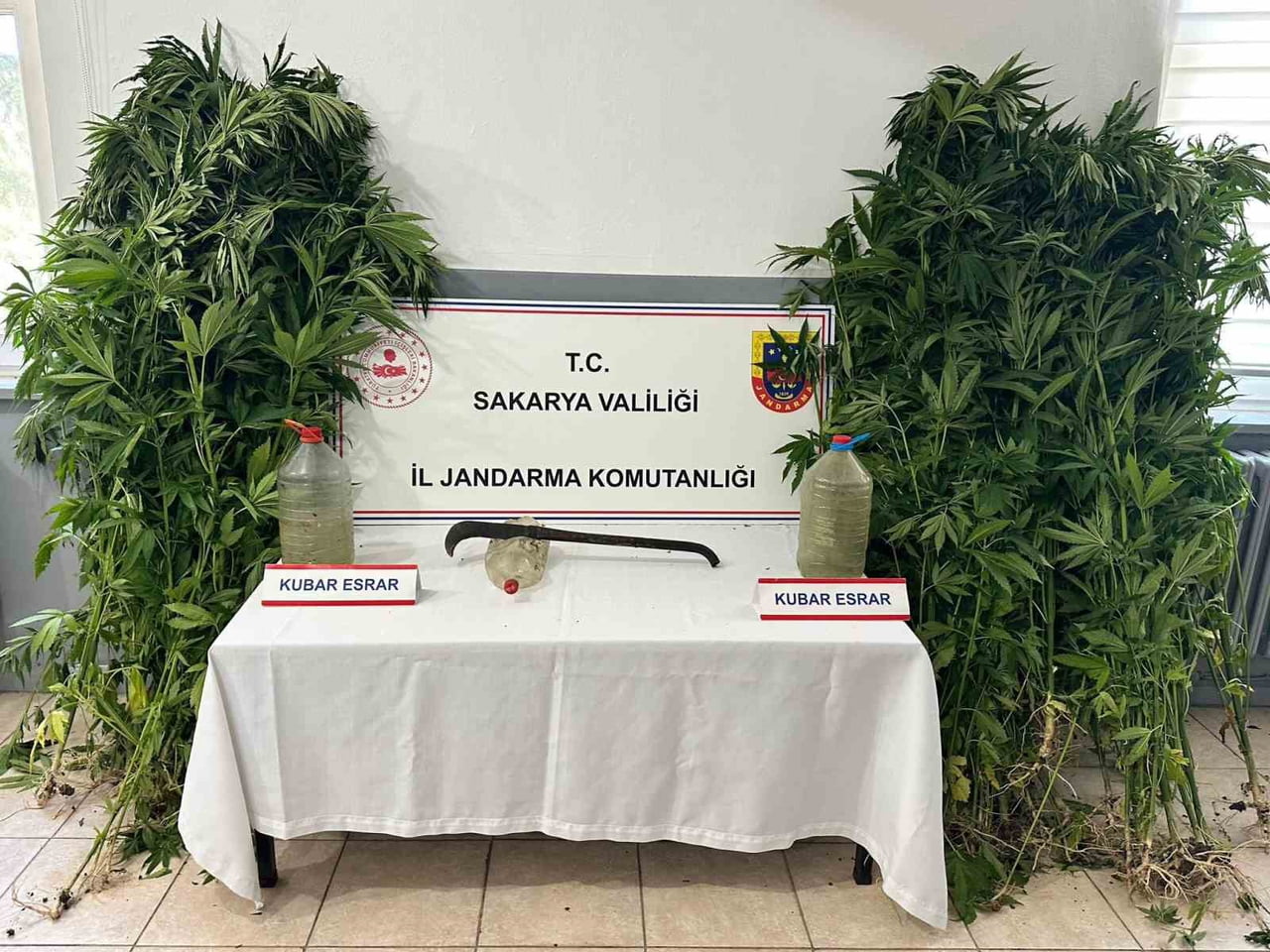 OPERASYONDA 212 KÖK KENEVİR BİTKİSİ İLE ÇEŞİTLİ UYUŞTURUCU MADDELER ELE GEÇİRİLDİ