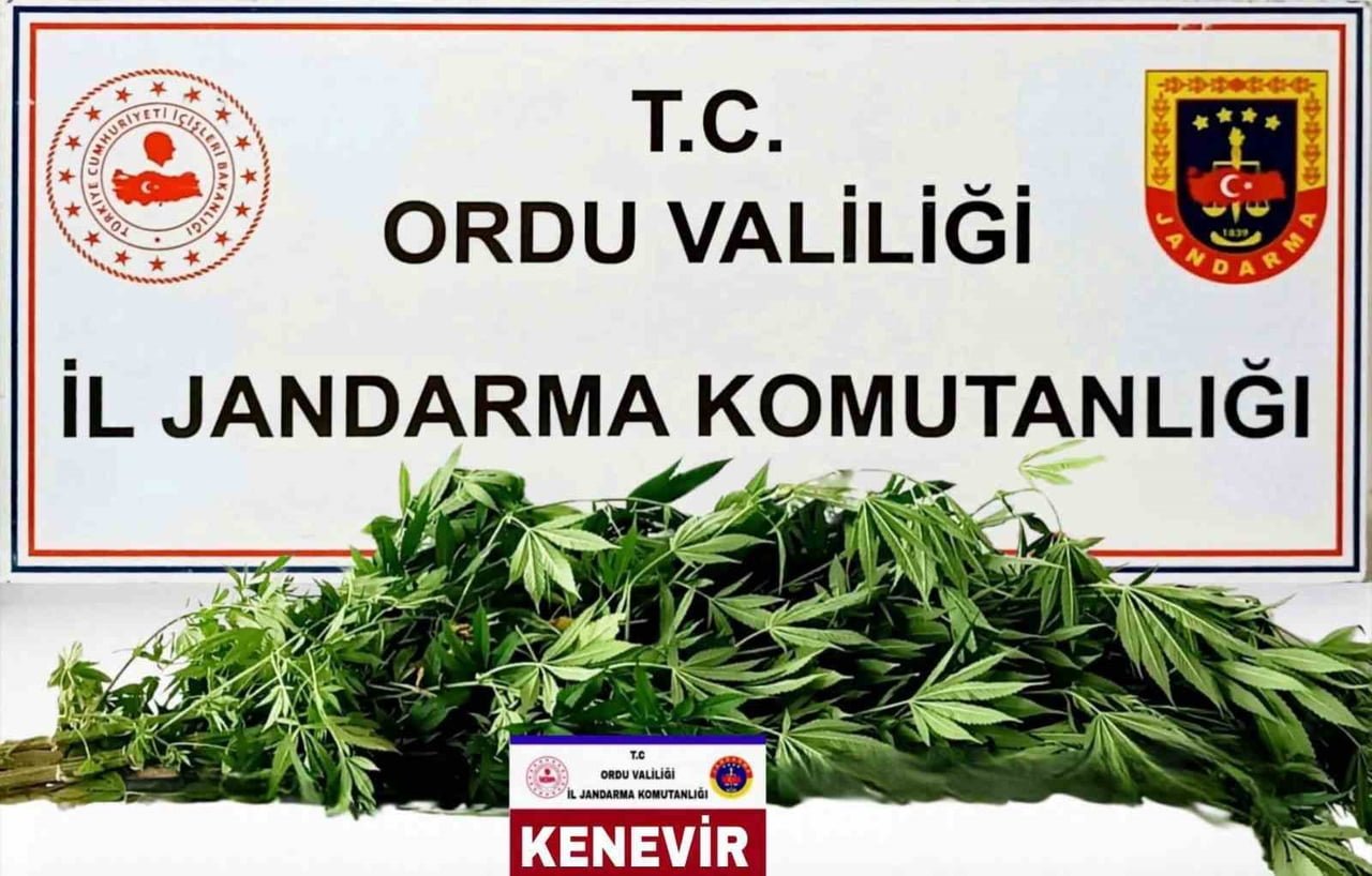 ORDU'DA JANDARMA EKİPLERİ TARAFINDAN SON 1 HAFTADA YÜRÜTÜLEN ASAYİŞ FAALİYETLERİNDE ÇEŞİTLİ...
