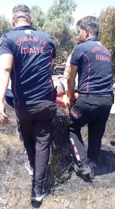 OSMANİYE'DE ÇIKAN ANIZ YANGINININ MEYVE BAHÇELERİNE SIÇRAMASI SONUCU ÇOK SAYIDA MEYVE AĞACI İLE...
