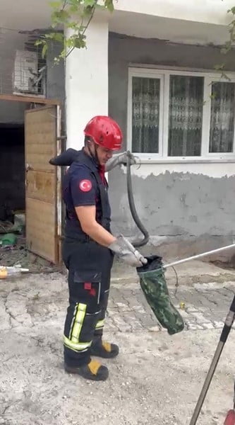 OSMANİYE'DE EVİN BAHÇESİNDE GÖRÜLEN YILAN YAKALANDI