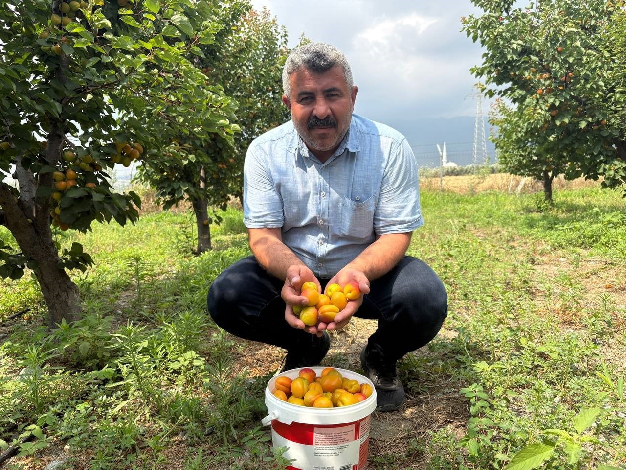 OSMANİYE'NİN DÜZİÇİ İLÇESİNDE ÇİFTÇİLİK YAPAN ABDURAHMAN KELEŞ, BİR ZİRAAT MÜHENDİSİNİN...