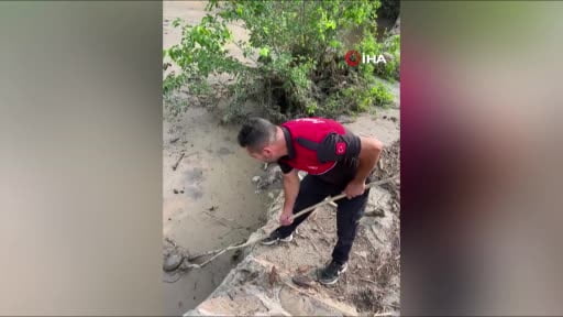 Osmaniye’nin Düziçi ilçesinde sel sonrası oluşan çamur birikintisine saplanan kaplumbağa, itfaiye...