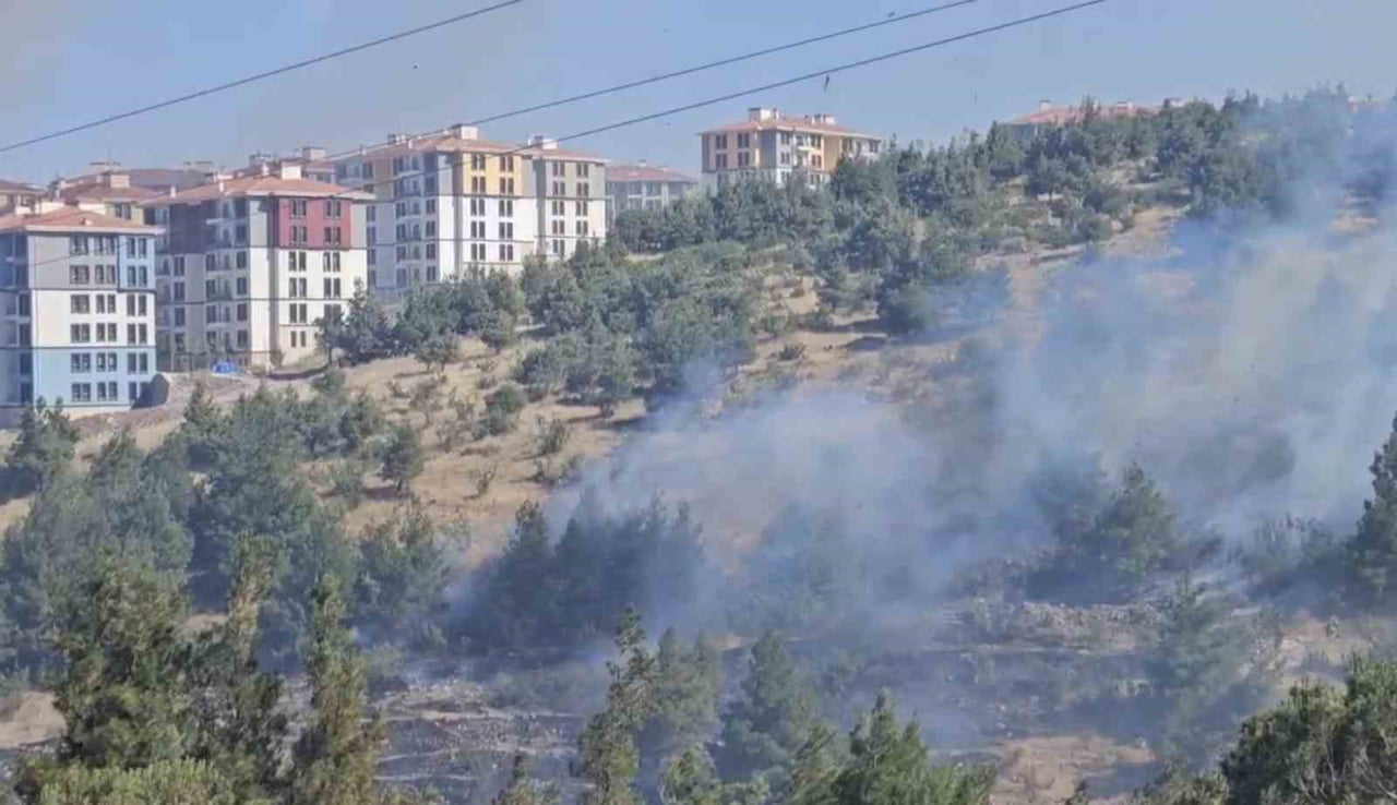 OTLUK VE KORULUK ALANDA YANGIN