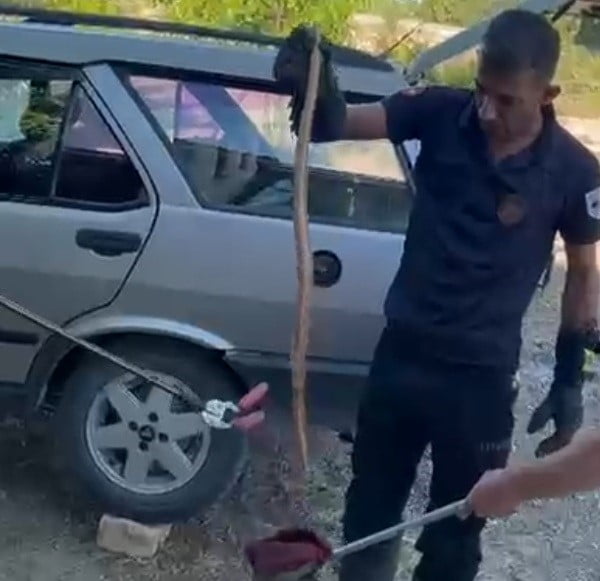 PARK HALİNDEKİ OTOMOBİLE GİREN YILAN PANİĞE NEDEN OLDU
