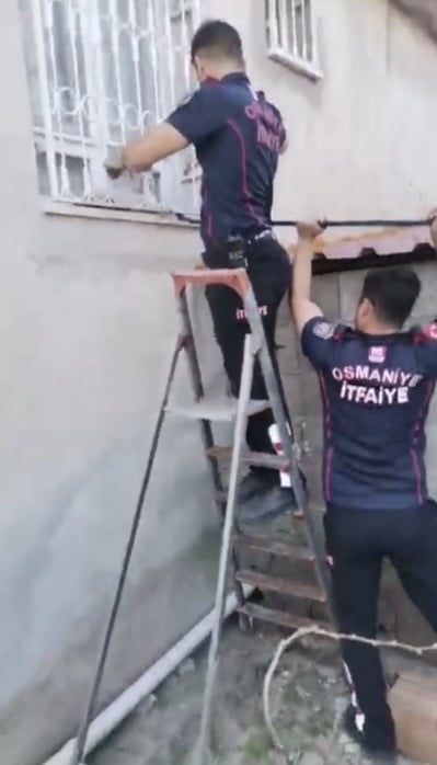 PATİSİ PENCERE DEMİRİNE SIKIŞAN KEDİYİ İTFAİYE KURTARDI