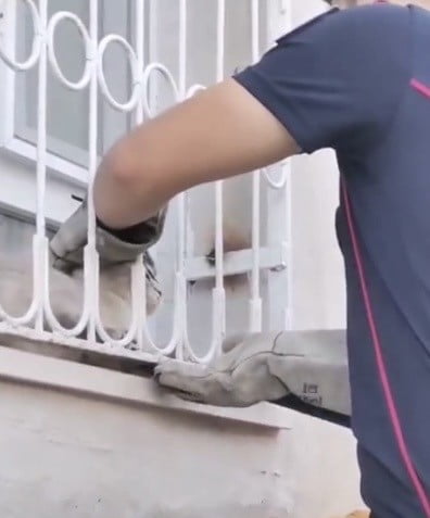 PATİSİ PENCERE DEMİRİNE SIKIŞAN KEDİYİ İTFAİYE KURTARDI
