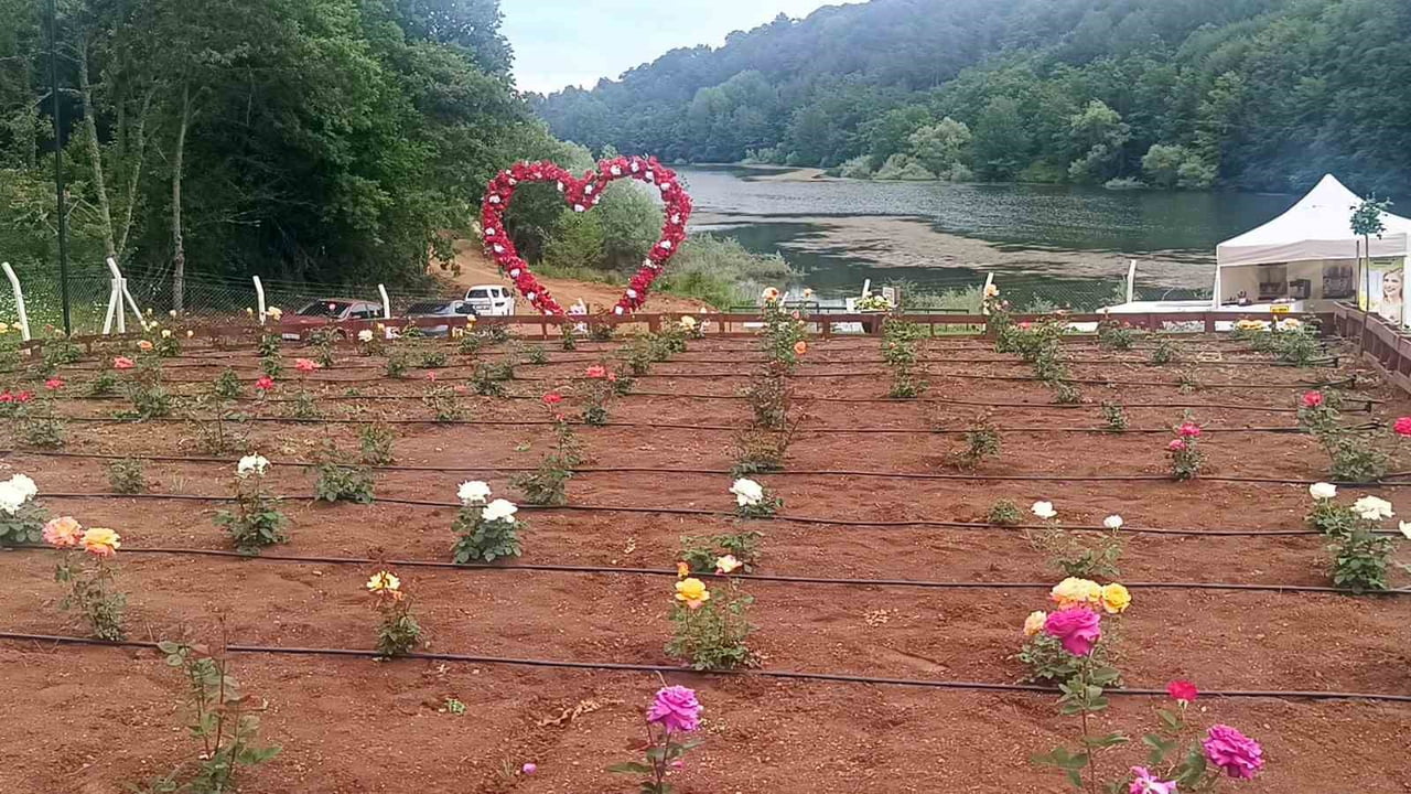 PAZARYERİ BELEDİYE BAŞKANI ZEKİYE TEKİN GÜL BAHÇESİNİ GEZDİ