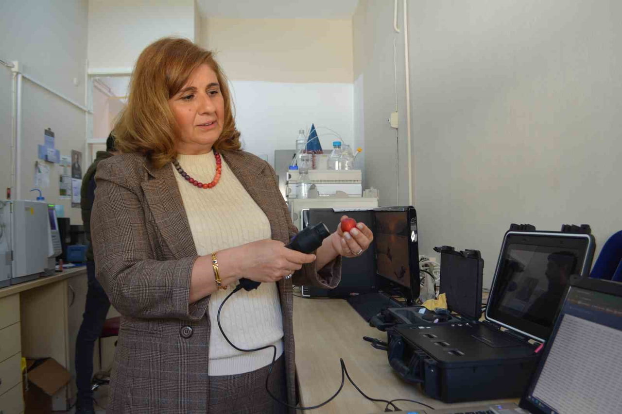 PROF. DR. NASİBE EBRU YAŞA KAFKAS