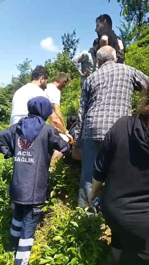 RİZE’NİN PAZAR İLÇESİNDE KİRAZ TOPLAMAK İÇİN ÇIKTIĞI AĞAÇTAN DENGESİNİ KAYBEDEREK YAKLAŞIK 10...