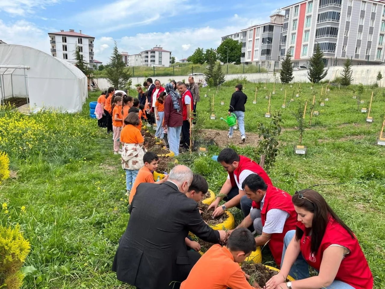 SAMSUN'UN KAVAK İLÇESİNDE YÜRÜTÜLEN PROJE KAPSAMINDA ÖĞRENCİLER TARAFINDAN OKUL SERASINDA...