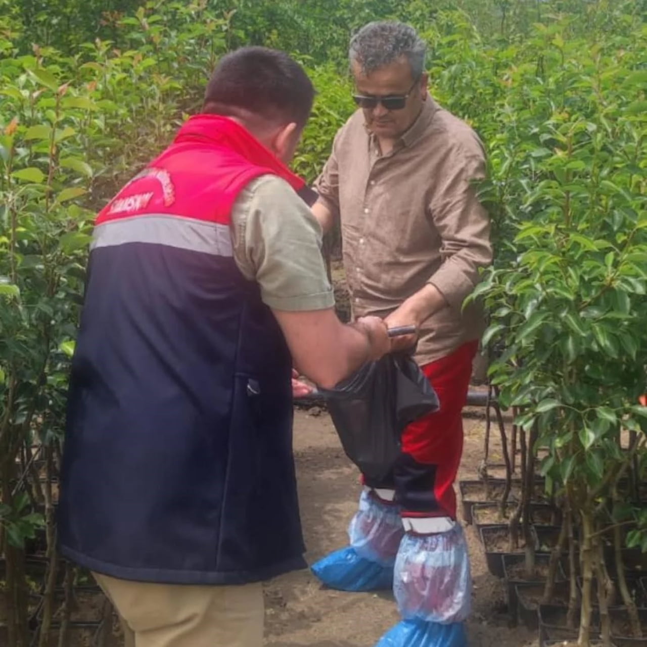 SAMSUN’DA BİTKİ SAĞLIĞI VE ÜRETİM GÜVENLİĞİNİ ARTIRMAYA YÖNELİK YÜRÜTÜLEN KONTROLLER KAPSAMINDA...