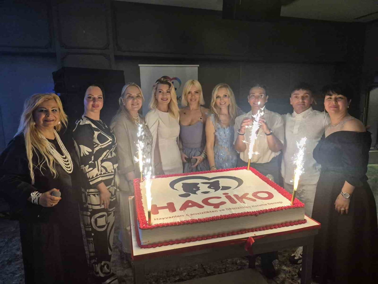 SAMSUN’DA SAHNE ALAN FERHAT GÖÇER VE ÖMÜR GEDİK, SOKAK HAYVANLARINA DESTEK İÇİN KONSER...