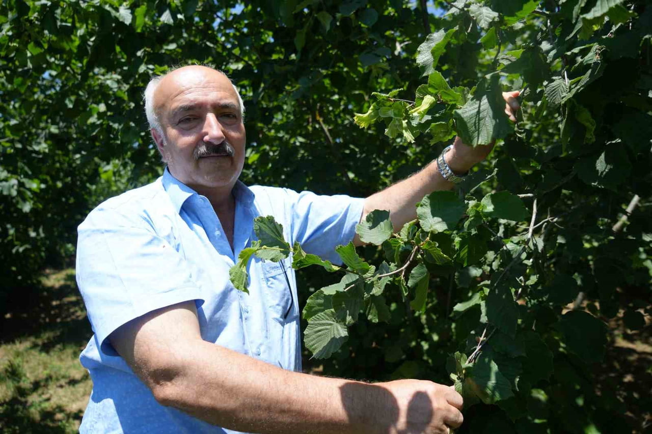 SAMSUN ZİRAAT ODASI BAŞKANI HASAN TÜTÜNCÜ, KENTİN GEÇEN YIL OLDUĞU GİBİ BU YIL DA TÜRKİYE'NİN EN...