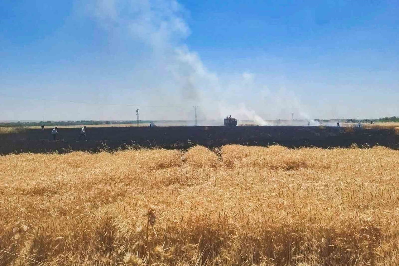 ŞANLIURFA'DA BUĞDAY TARLASINDA KORKUTAN YANGIN