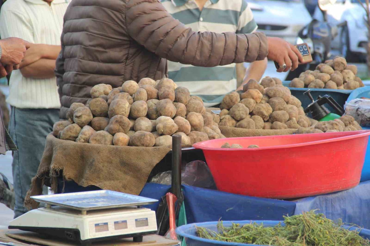 ŞANLIURFA'DA HER YIL SADECE NİSAN VE MAYIS AYINDA İLKBAHAR YAĞIŞLARIYLA ORTAYA ÇIKAN KEME MANTARI...