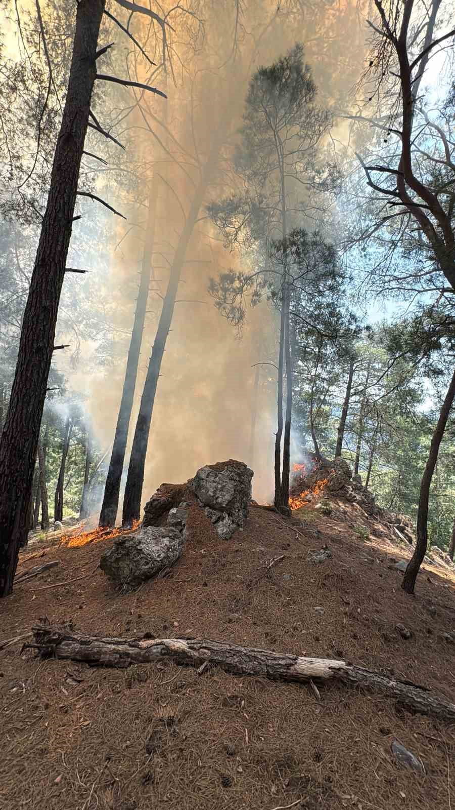 SEYİR HALİNDEKİ ARAÇ ALEV ALEV YANDI, YANGIN ORMANLIK ALANA SIÇRADI