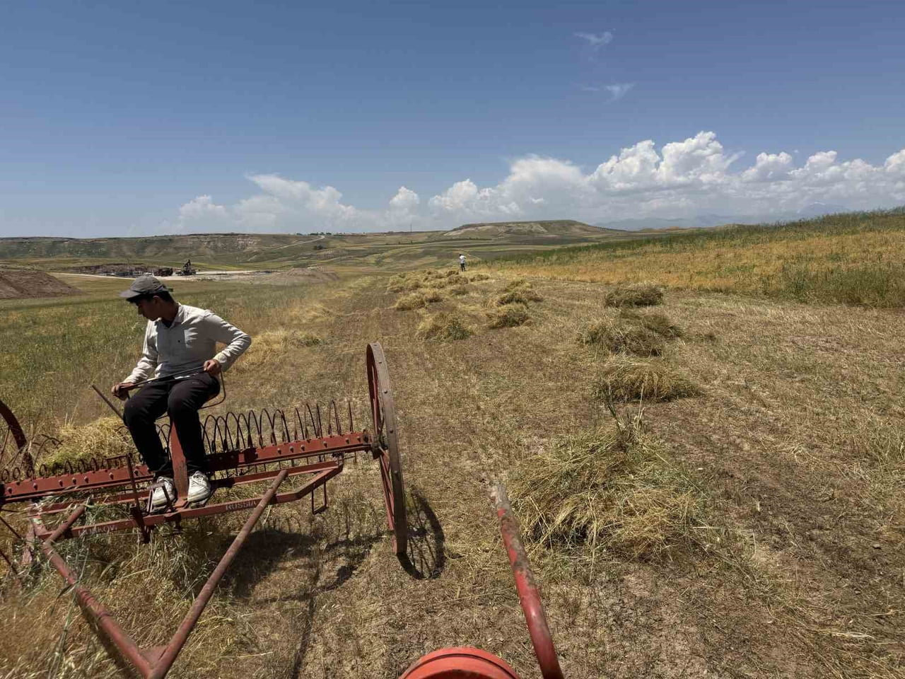 SİİRTLİ ÇİFTÇİLER, 2026 SEZONU MERCİMEK HASADINA BAŞLADI. BÖLGENİN TARIMSAL ÜRETİM MERKEZLERİNDEN...
