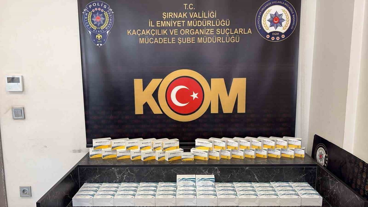 ŞIRNAK'IN CİZRE VE SİLOPİ İLÇELERİNDE GERÇEKLEŞTİRİLEN OPERASYONLARDA PİYASA DEĞERİ YAKLAŞIK 2...