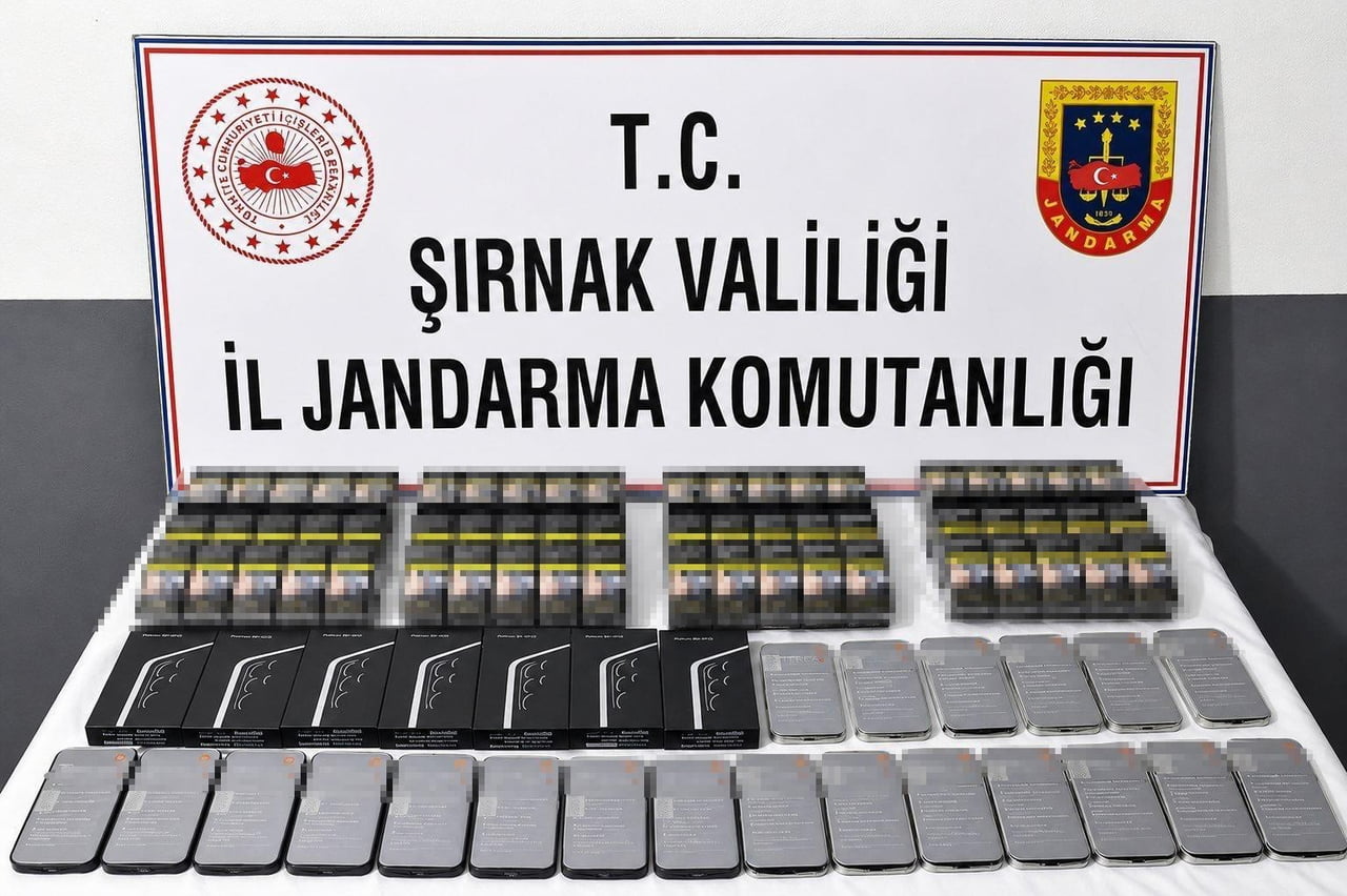 ŞIRNAK İL JANDARMA KOMUTANLIĞI'NIN BİR HAFTALIK OPERASYONLARINDA 103 ŞÜPHELİYE AİT ADRES VE...