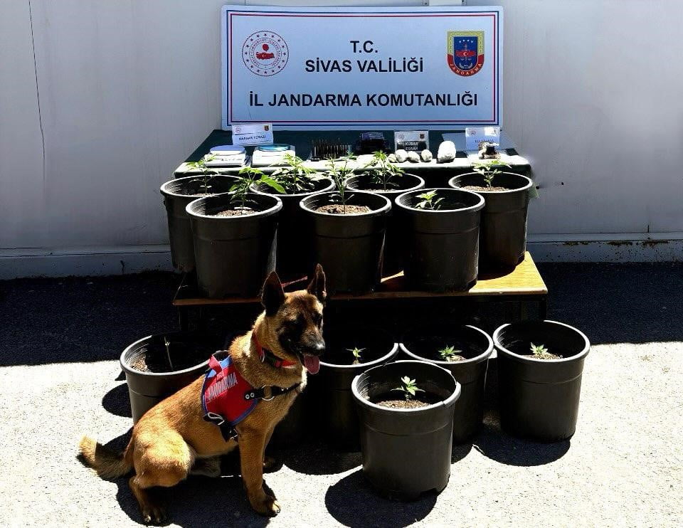 SİVAS'TA ÇOK MİKTARDA UYUŞTURUCU MADDE VE SİLAH ELE GEÇİRİLDİ.