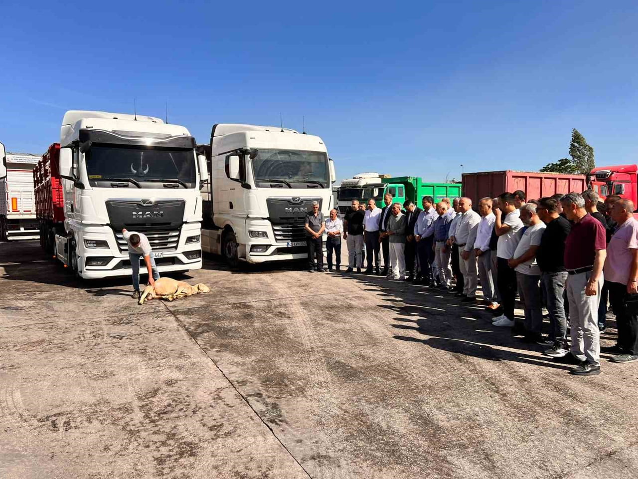 SOMA NAKLİYECİLER KOOPERATİFİ’NDE YENİ NAKLİYE SEZONU KURBAN KESİMİYLE AÇILDI. MİLLİ EĞİTİM...