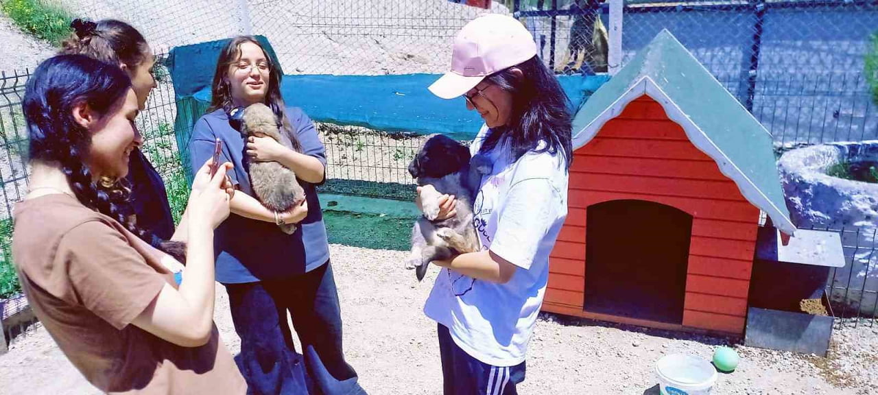 TALAS BELEDİYESİ TARAFINDAN HAYATA GEÇİRİLEN VE TÜRKİYE'YE ÖRNEK GÖSTERİLEN PATİ EVİ DOĞAL YAŞAM...