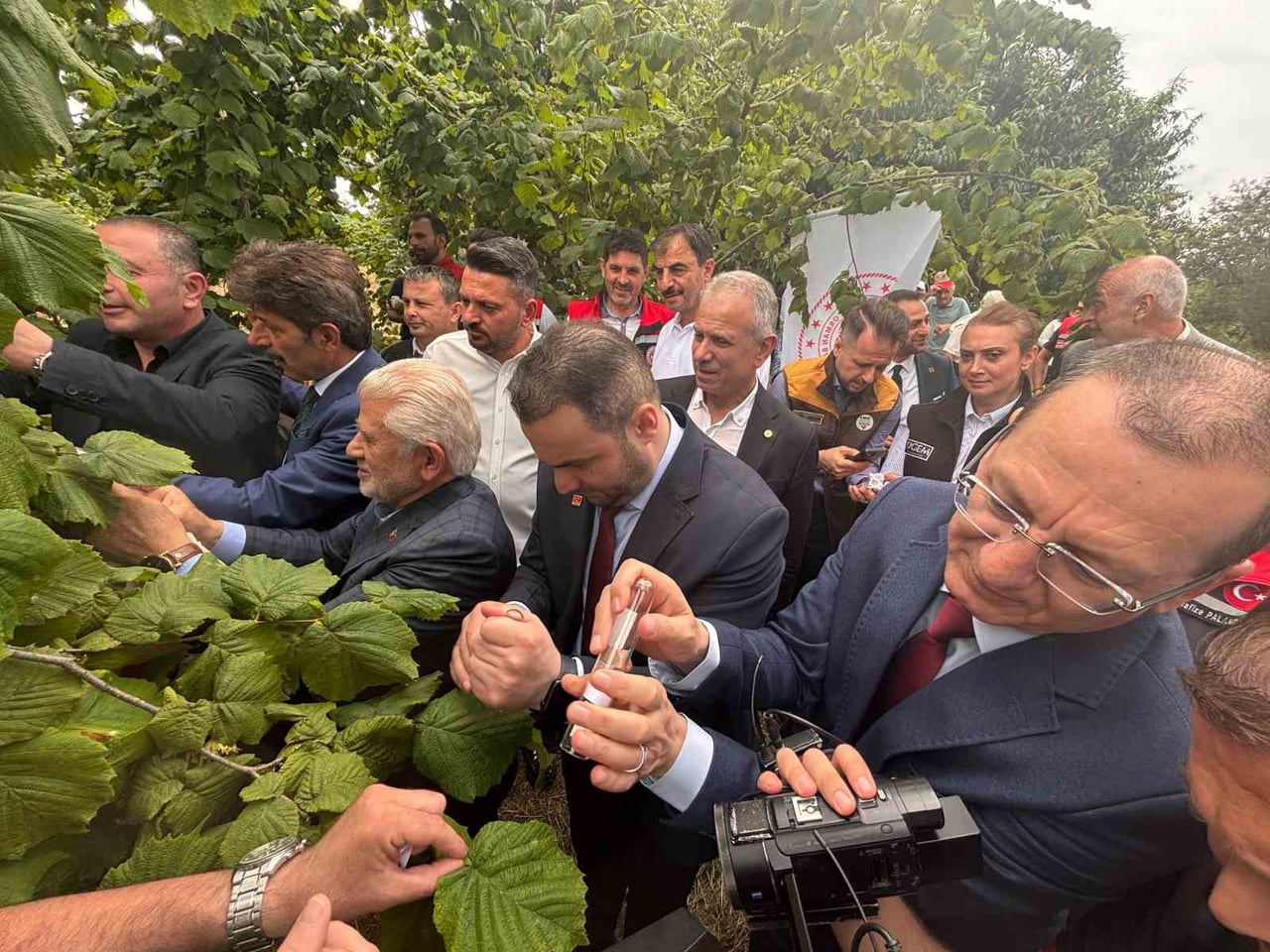 TARIM ÜRÜNLERİNDE CİDDİ VERİM VE KALİTE KAYIPLARINA NEDEN OLAN KAHVERENGİ KOKARCA ZARARLISI İLE...