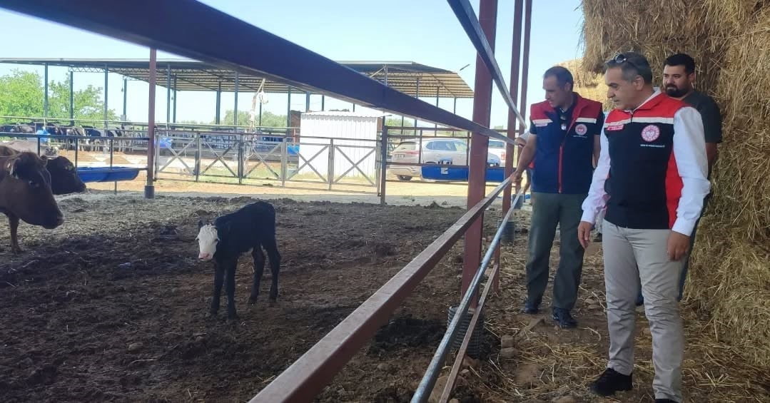TARIM VE ORMAN BAKANLIĞI TARAFINDAN HAYATA GEÇİRİLEN "KIRSALDA BEREKET HAYVANCILIĞA DESTEK...