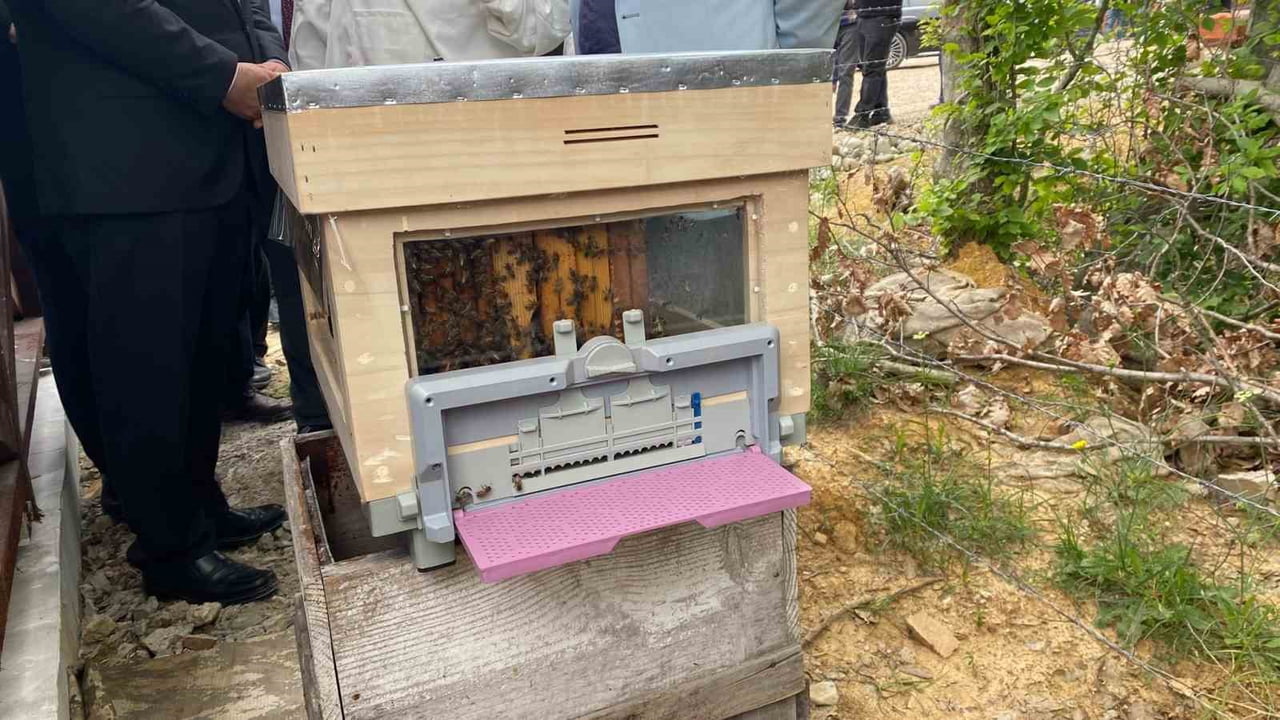 TARIM VE ORMAN BAKANLIĞINCA HAYATA GEÇİRİLEN "BAL ORMANI EYLEM PLANI" KAPSAMINDA TÜRKİYE'NİN...
