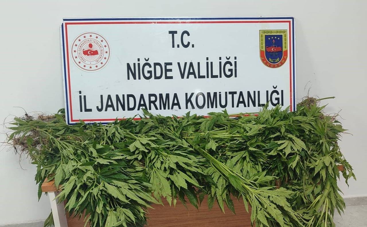 TARLADA VE EVDE ARAMA YAPILDI, UYUŞTURUCU MADDE ELE GEÇİRİLDİ