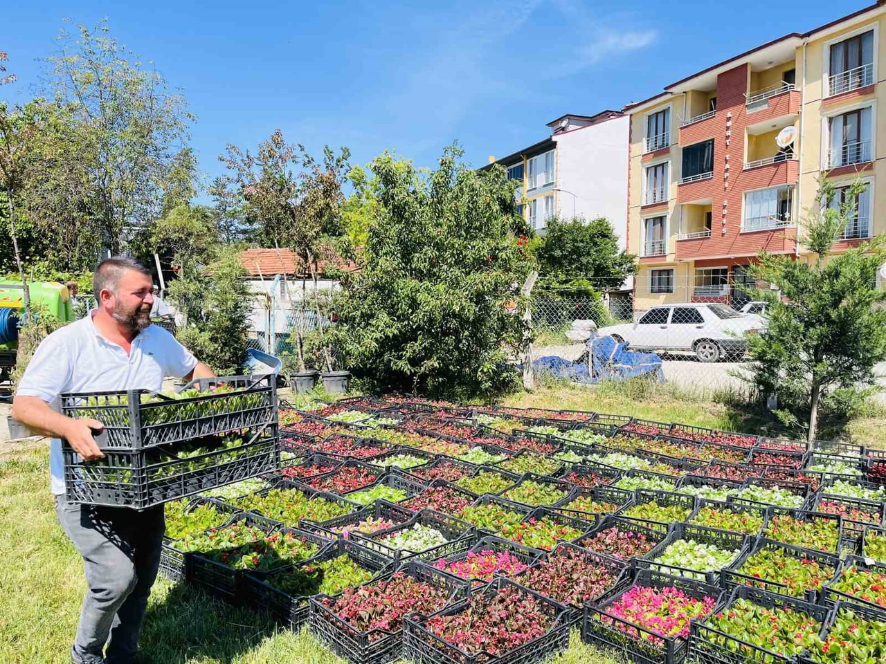 TAŞKÖPRÜ BELEDİYESİ TARAFINDAN PEYZAJ ÇALIŞMALARI KAPSAMINDA İLÇE GENELİNDE 70 BİN ADET YAZLIK...