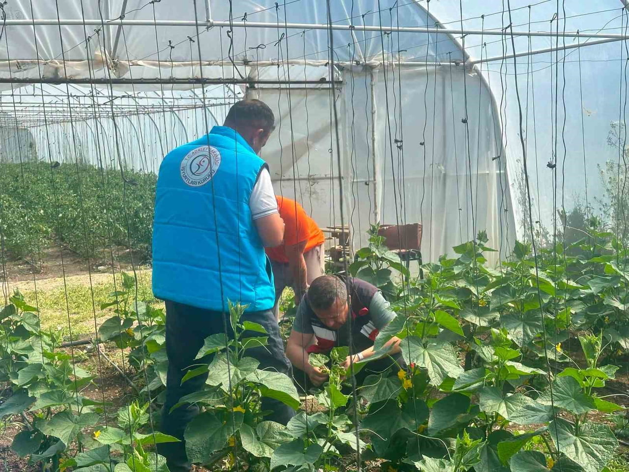 TAVŞANLI CEZAEVİ SERASINDA ÜRETİM FAALİYETLERİ İNCELENDİ