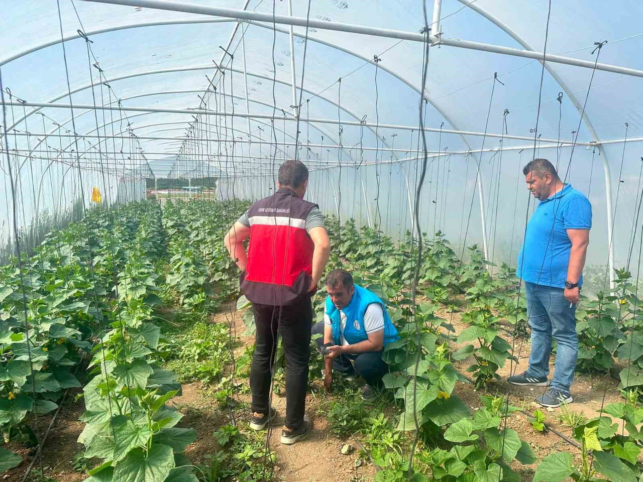 TAVŞANLI CEZAEVİ SERASINDA ÜRETİM FAALİYETLERİ İNCELENDİ
