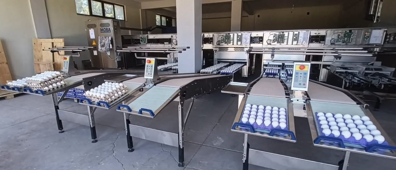 TAVŞANLI’DA YUMURTA PAKETLEMEDE YENİ DÖNEM