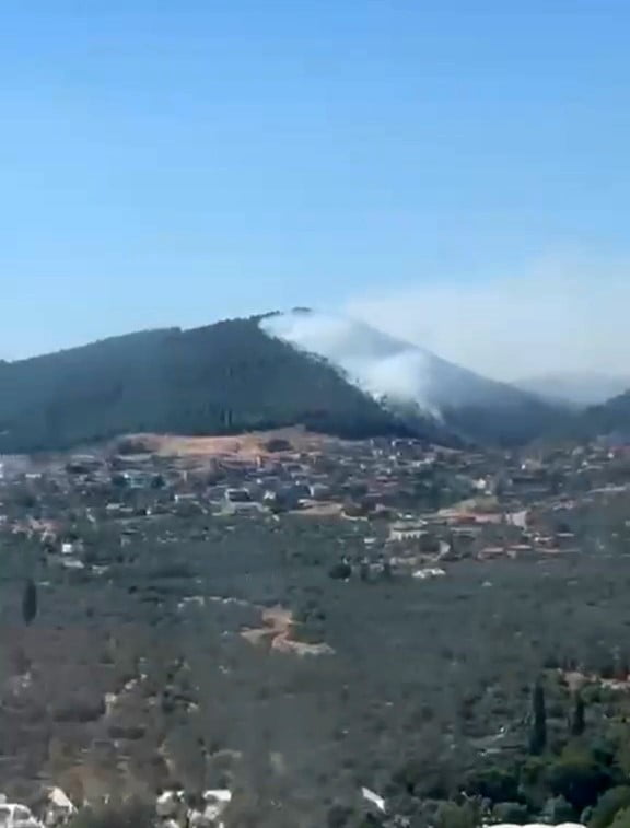 TAYLIELİ MAHALLESİ'NDEKİ ORMANLIK ALANDA YANGIN ÇIKTI.