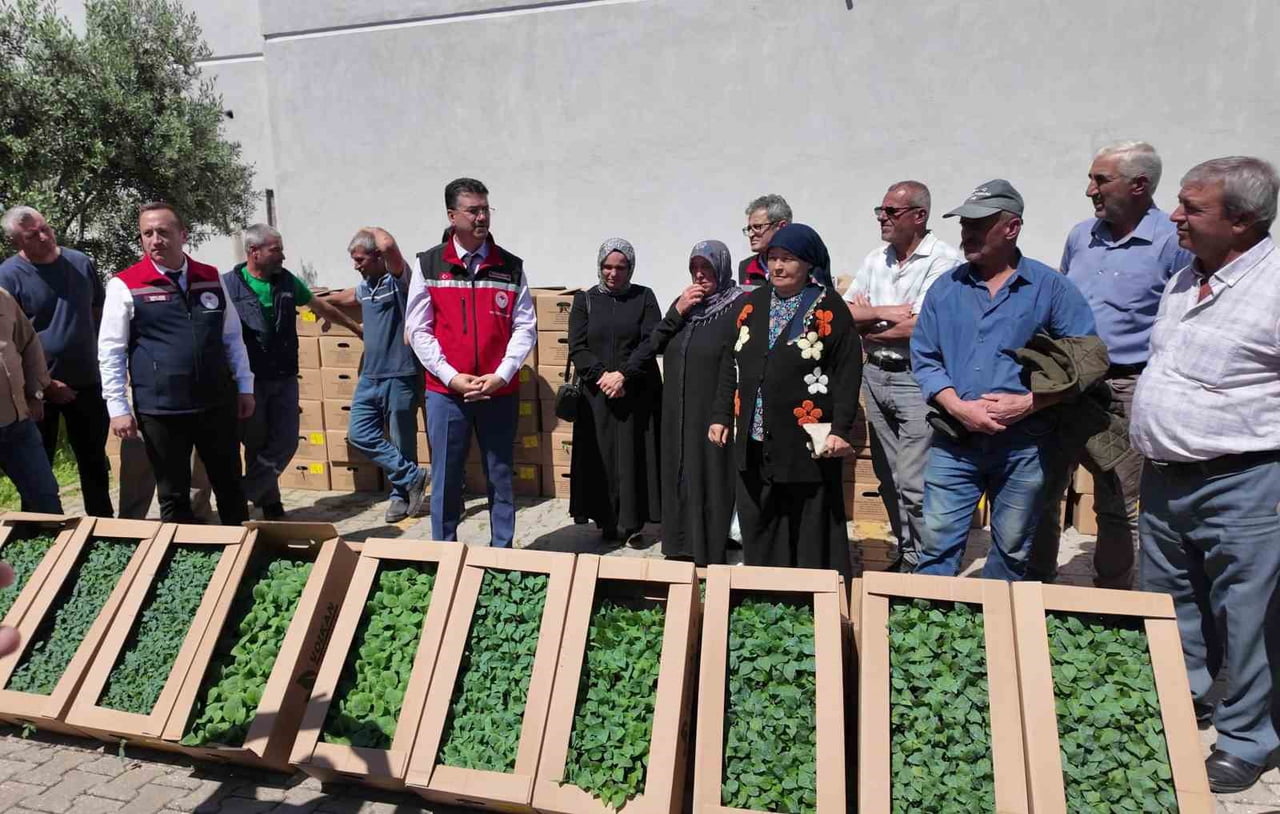 TEKİRDAĞ'DA 407 ÜRETİCİYE 256 BİN YAZLIK SEBZE FİDESİ DAĞITILDI