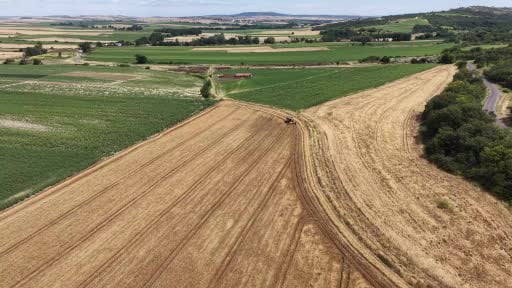 Tekirdağ'da biçerdöverler tarlaya indi, hasat mesaisi başladı