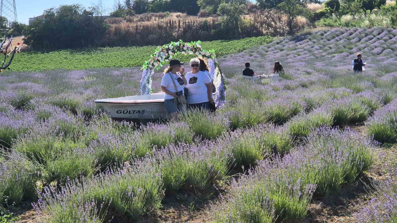 TEKİRDAĞ'DA BU YIL 6'NCISI GERÇEKLEŞTİRİLEN LAVANTA ŞENLİĞİ, MOR RENGE BÜRÜNEN LAVANTA...