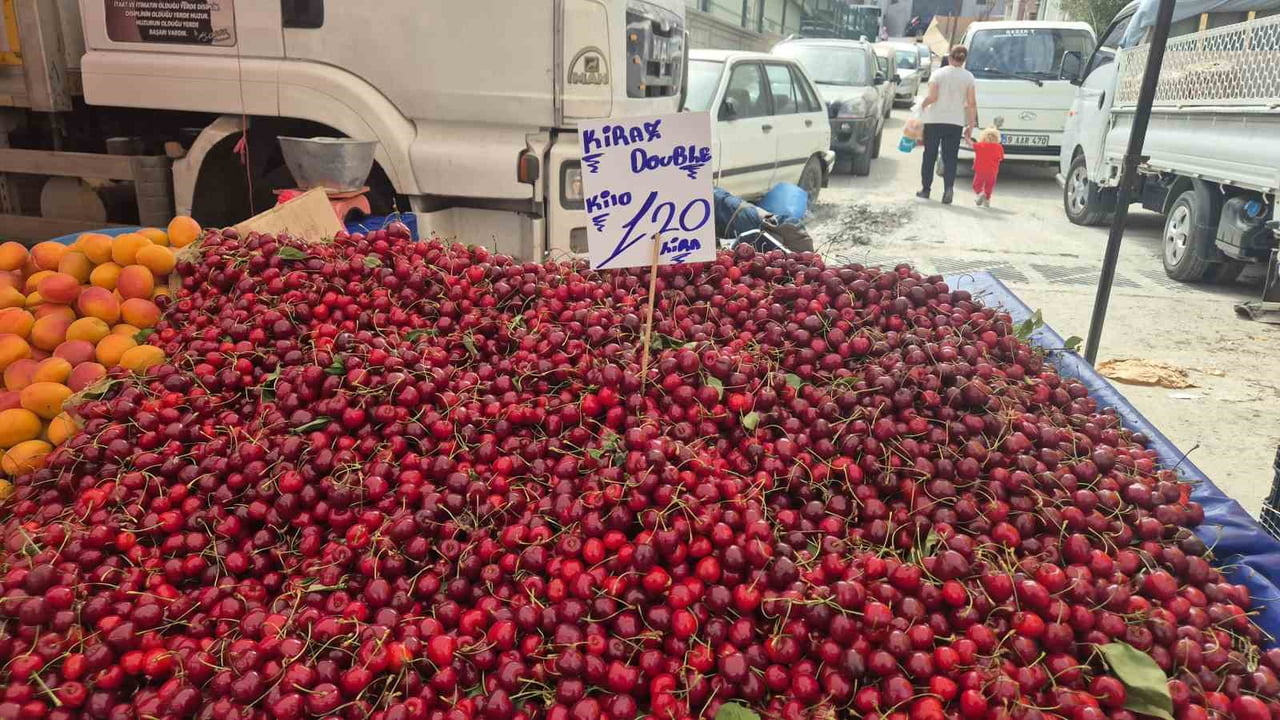TEKİRDAĞ'DA KİRAZ FESTİVALİ SIRASINDA YÜKSEK FİYATLARLA SATILAN KİRAZIN FİYATI, ÜRÜN BOLLUĞUNUN...
