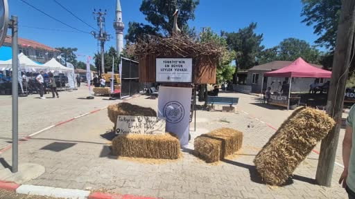Tekirdağ'da Leylek Festivali