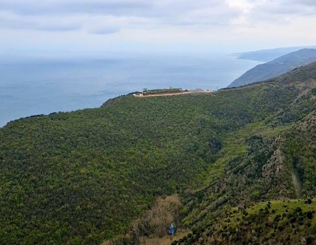 TEKİRDAĞ'DA ORMANLARA GİRİŞ YASAKLANDI