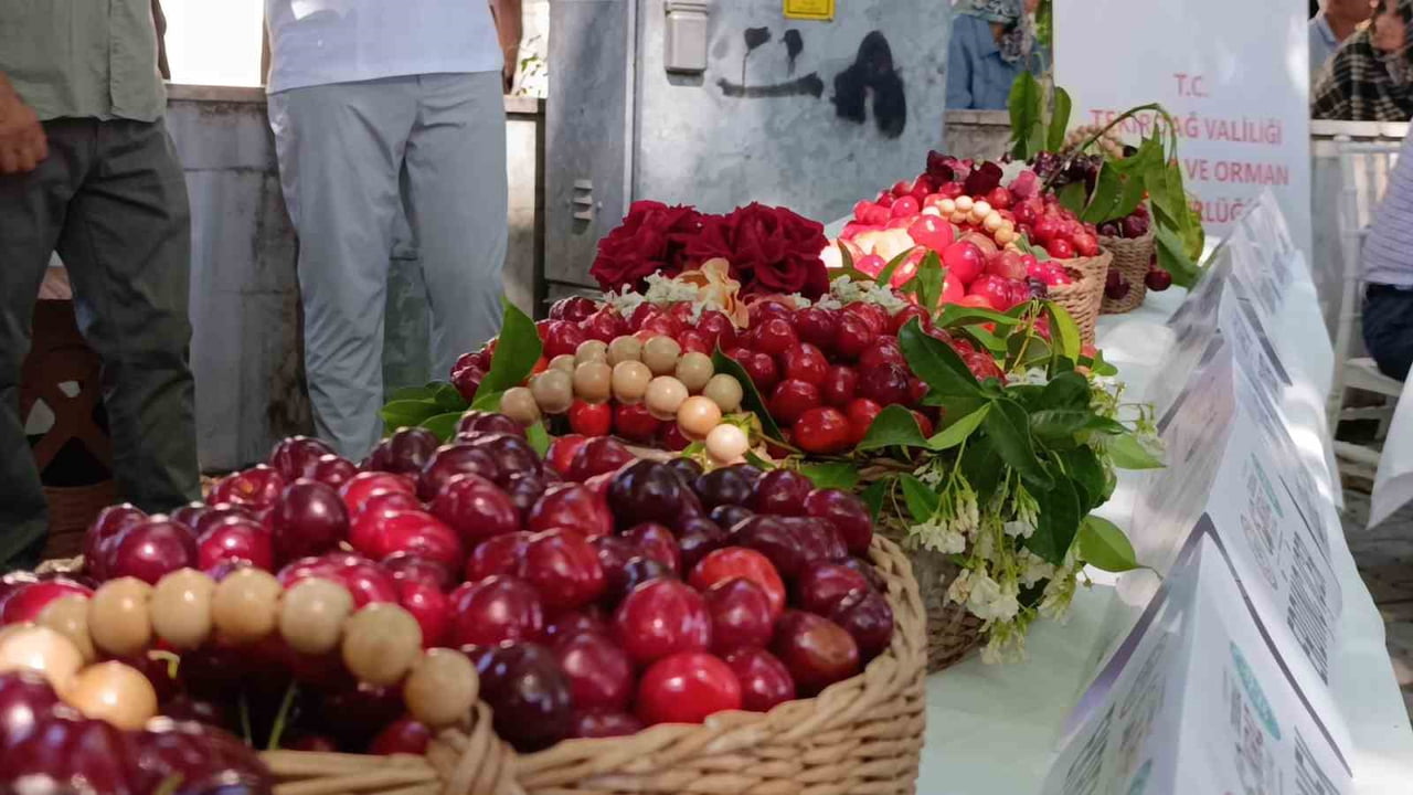 TEKİRDAĞ'IN SÜLEYMANPAŞA İLÇESİNDE BU YIL 60'INCISI DÜZENLENEN ULUSLARARASI KİRAZ FESTİVALİ...