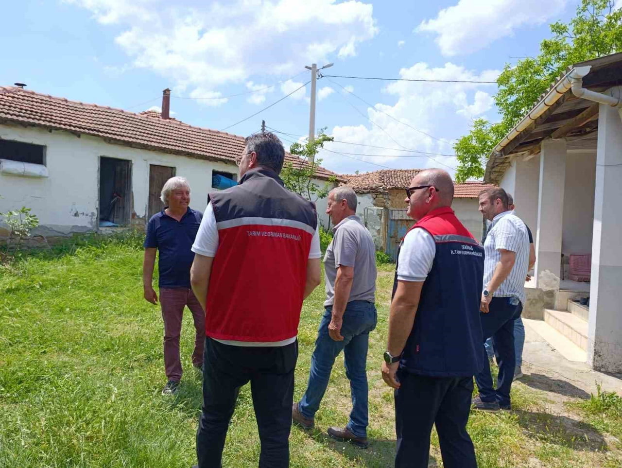 TEKİRDAĞ’DA HAYVANCILIK FAALİYETLERİ YERİNDE İNCELENDİ