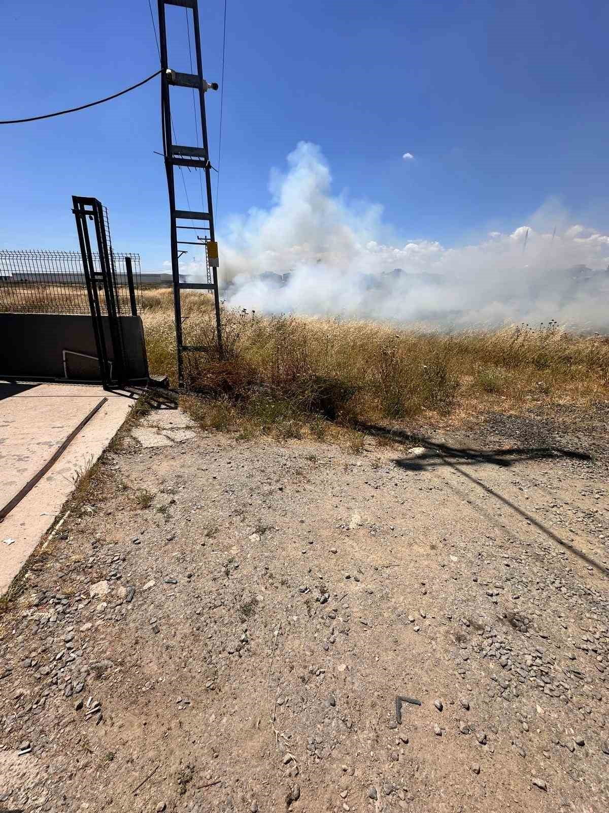 TEKİRDAĞ’IN KAPAKLI İLÇESİNDE BİR KUŞUN ELEKTRİK TELLERİNE ÇARPMASI SONUCU OTLUK ALANA DÜŞEN...