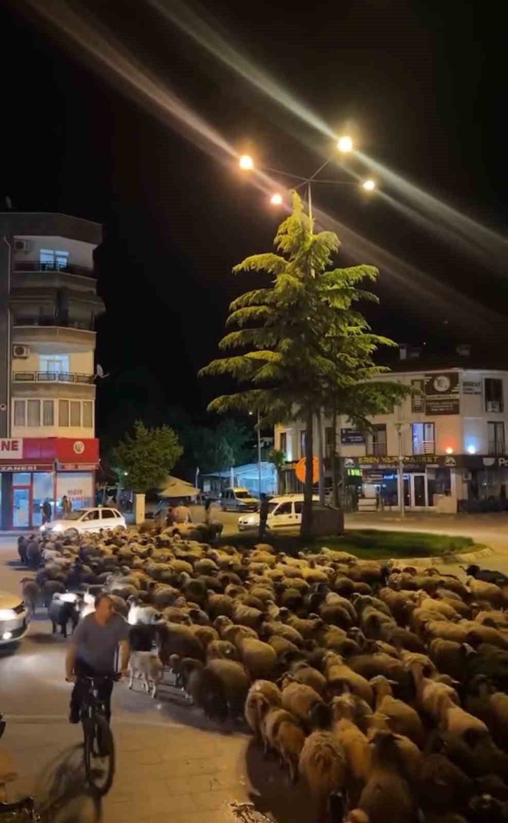 TOKAT’TA BAHARIN GELİŞİYLE BAŞLAYAN GELENEKSEL YAYLA GÖÇÜ KAPSAMINDA ŞEHİR MERKEZİNDEN GEÇİRİLEN...