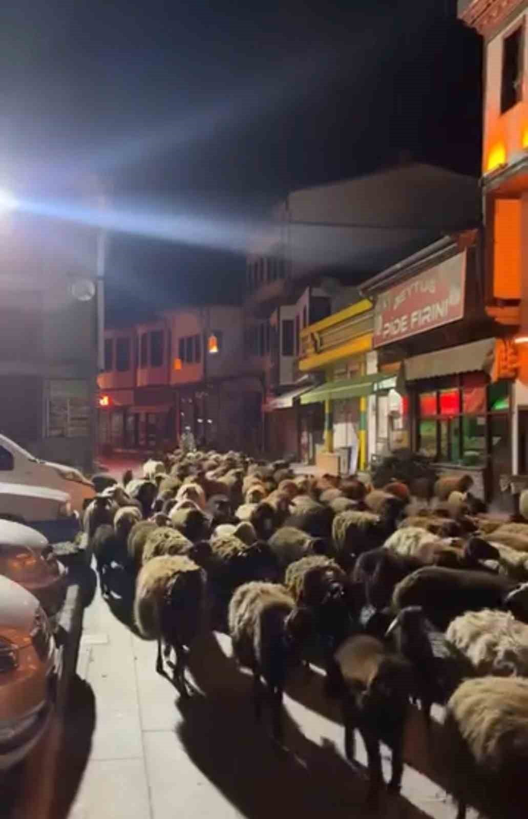 TOKAT’TA BAHARIN GELİŞİYLE BAŞLAYAN GELENEKSEL YAYLA GÖÇÜ KAPSAMINDA ŞEHİR MERKEZİNDEN GEÇİRİLEN...