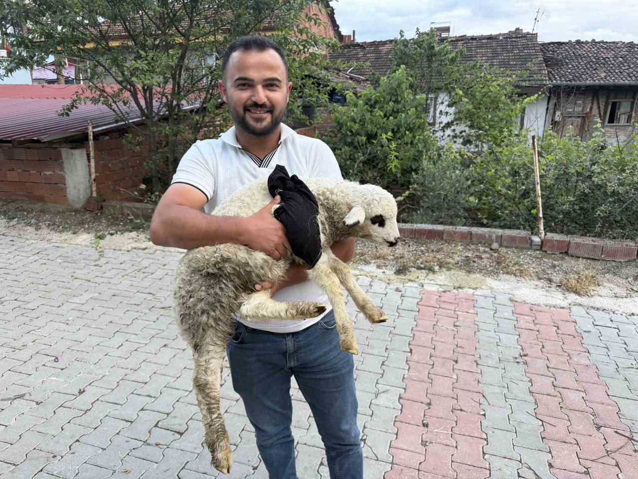 TOKAT’TA BİR HASTANEDE GÖREV YAPAN SAĞLIK PERSONELİ EMRE FIRAT, AYAĞI KIRILAN KUZUNUN BACAĞINA...