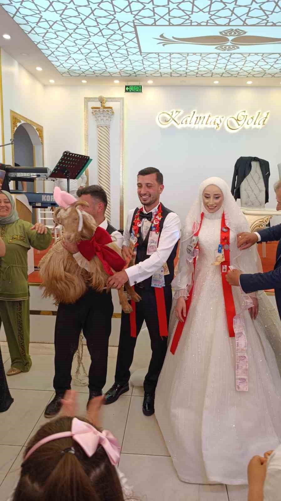TRABZON'DA BİR DÜĞÜNDE TAKI TÖRENİNDE ALTIN YERİNE KEÇİ TAKILDI. SÜSLEDİĞİ VE BEZLEDİĞİ KEÇİYLE...